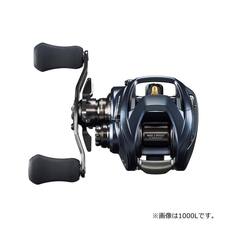 DAIWA（ダイワ） 23 スティーズ A II TW 1000XHL 左ハンドル / ベイト