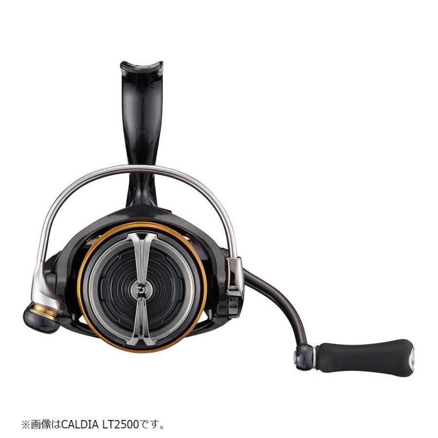 DAIWA（ダイワ） 21カルディア LT3000-CXH スピニングリール : つり具