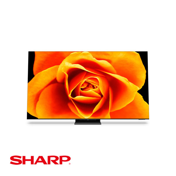 SHARP AQUOS XLED 8T-C65DX1 AQUOS AQUOS XLED 液晶テレビ、薄型テレビ