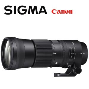 DG（シグマ） シグマ SIGMA 150-600mm F5-6.3 DG OS HSM Contemporary