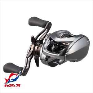 DAIWA（ダイワ） 決算セール 24 スティーズ SV TW 100XHL 送料無料