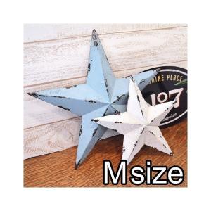 グルク バーンスター Lサイズ クリスマス オーナメント 星 インテリア