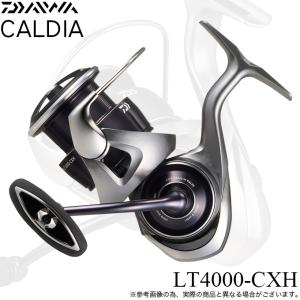DAIWA（ダイワ） 22カルディア SW 4000D-CXH（CALDIA） : フィッシング