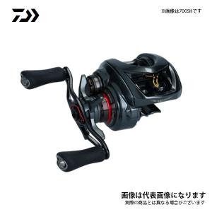 DAIWA（ダイワ） 24 スティーズ SV TW 100 右ハンドル (2024年モデル