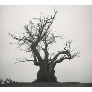 Sekai no owari 世界の終わり 黒EARTH CD : スターアップストア - 通販