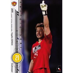 2015 Jリーグオフィシャルカード レギュラー 166 森崎和幸