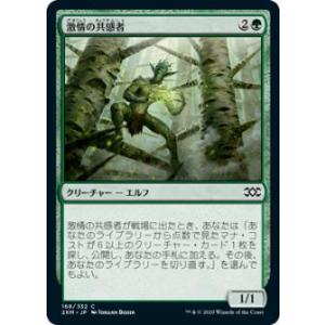 FOIL/ショーケース版】マジックザギャザリング TDM JP 0399 嵐の目