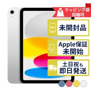 iPad ☆新品未開封 2025年版 Apple iPad11 A16 11インチ 256GB Wi-Fi