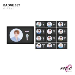 SEVENTEEN 公式グッズ WORLD TOUR Ode to You 