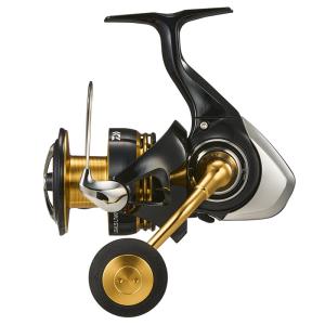 DAIWA（ダイワ） 18 イグジスト LT2500S-XH-DH / EXIST スピニング