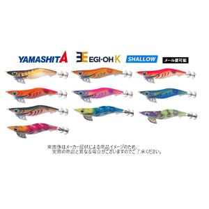 Fish Arrow（フィッシュアロー） RiSER JACK(ライザージャック)DRT