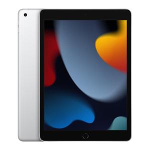 ☆アップル / APPLE iPad 10.9インチ 第10世代 Wi-Fi 256GB 2022年秋