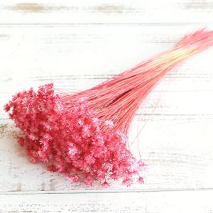 ドライフラワー 花材 即日出荷 ミモザ・アカシア ナチュラル ミモザ