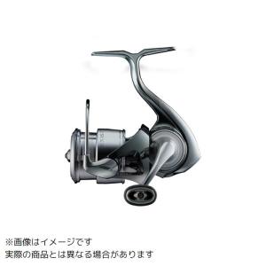 DAIWA（ダイワ） イグジスト SF1000S-P : つり具の銭屋 - 通販 - Yahoo