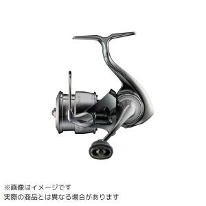 DAIWA（ダイワ） 22 イグジスト LT2000S-P (2022年モデル) スピニング