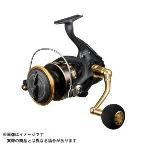 ダイワ スピニングリール BG SW 4000D-CXH 23年モデル : 釣具の