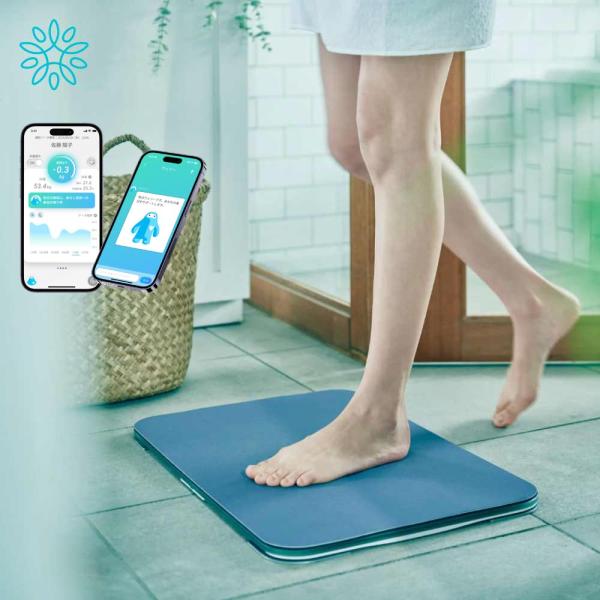 スマートバスマット 体組成計モデル 体重計 充電式 グレー issin