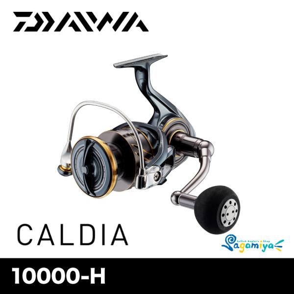 DAIWA（ダイワ） 22カルディア SW 10000-H（CALDIA） : フィッシング