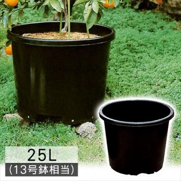 鉢 植木鉢 果樹鉢 ビッグ鉢25L型 黒 10個組 ≪代引不可≫ 国華園 : 花