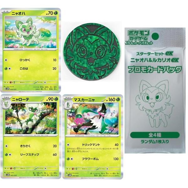 ky-zakkaten-y_0748-008913