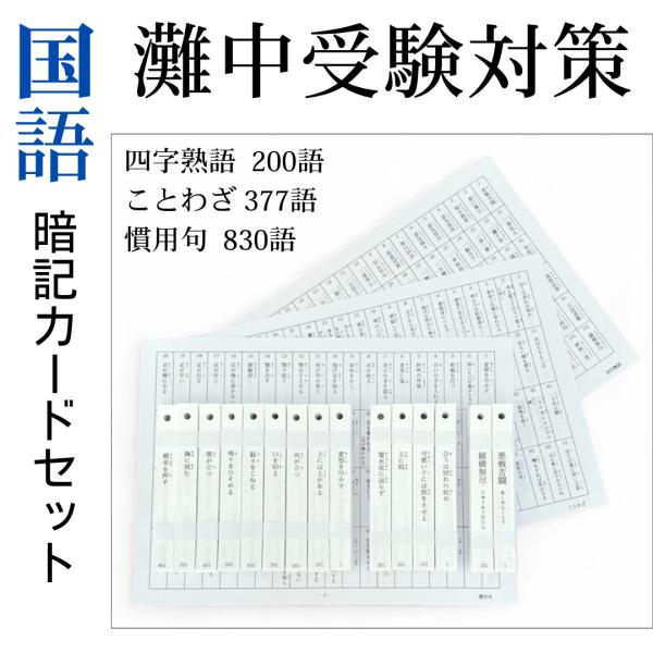 灘中受験対策 国語】中学受験対策 オリジナル暗記カードセット （四字