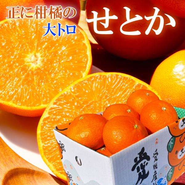 ichiba-koubou_setokal3l25-02