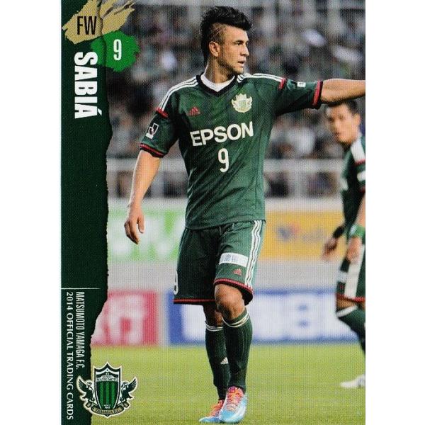 クラブ発行】2014 松本山雅FC オフィシャルカード レギュラー YG09