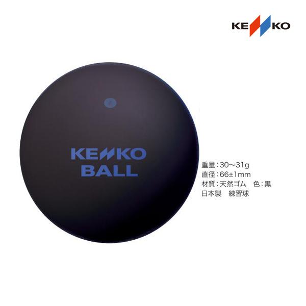 ナガセケンコー ケンコーソフトテニスボール・スタンダード・ブラック