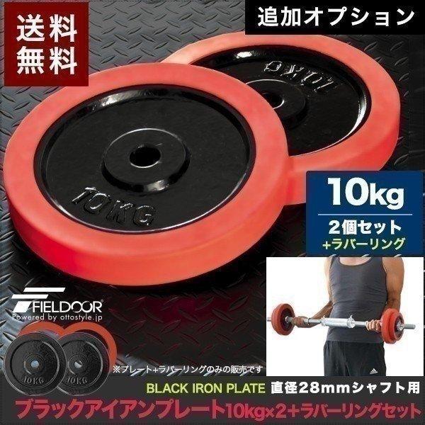 1年保証 バーベル 用 プレート 10kg 2個セット ブラックアイアン +