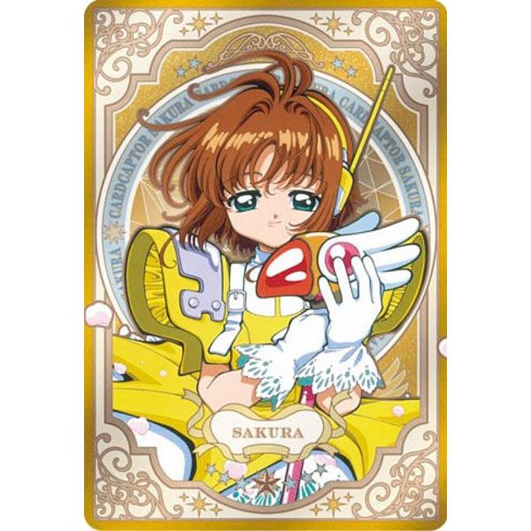 lead-netstore_122410s113csk05