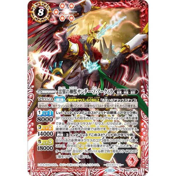 lead-netstore_bs71252501mr105