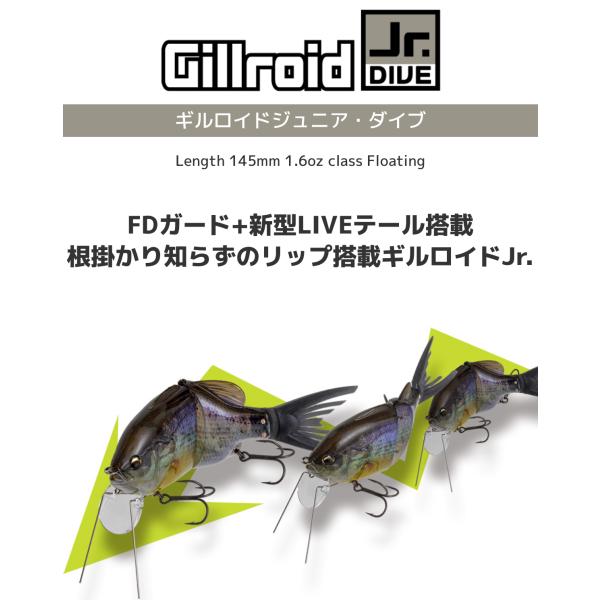 lure-shop-bb_gillroidjrdive