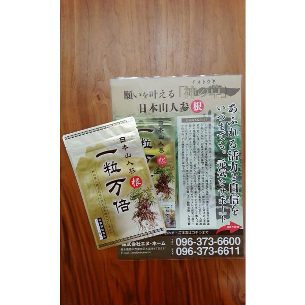 日本山人参イヌトウキ根のみ使用 『一粒万倍』150粒！日本国内栽培