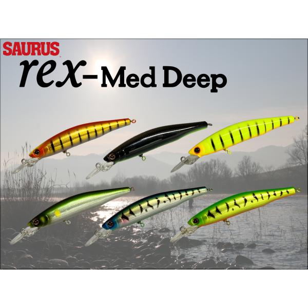 saurus-direct-shop_tr00005