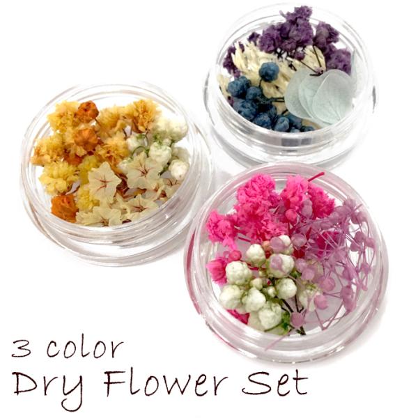 ドライフラワー (27) 3色ケースセット 花材 ブーケ レジン