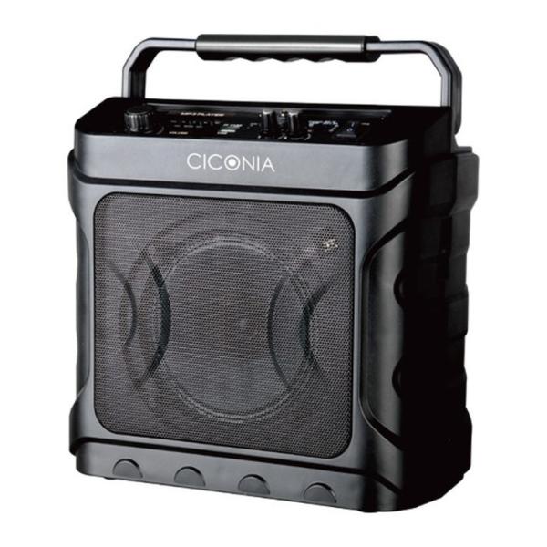 CICONIA デスクトップ スピーカー CDD160A ワイヤレスマイク 2本