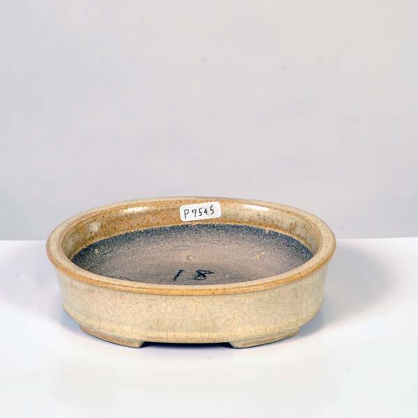 盆栽小鉢：真山（まざん）楕円鉢 13.7cm 【現品】 : 遊恵盆栽 Yahoo!店