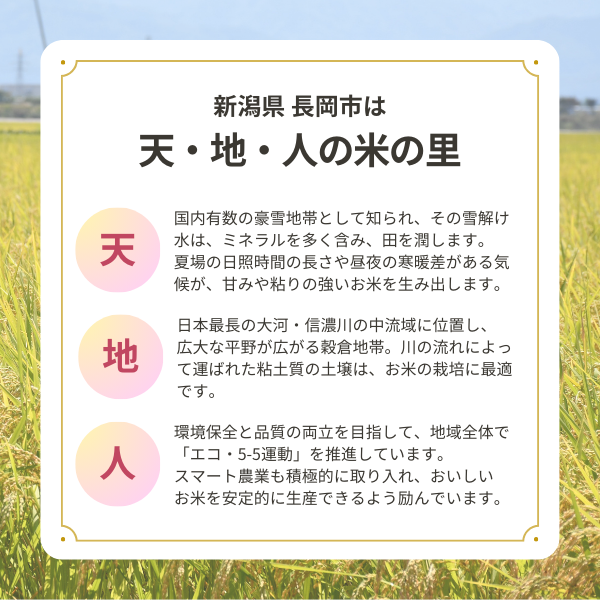 新潟県長岡産】特別栽培米 コシヒカリ 玄米30kg | JAえちご中越公式