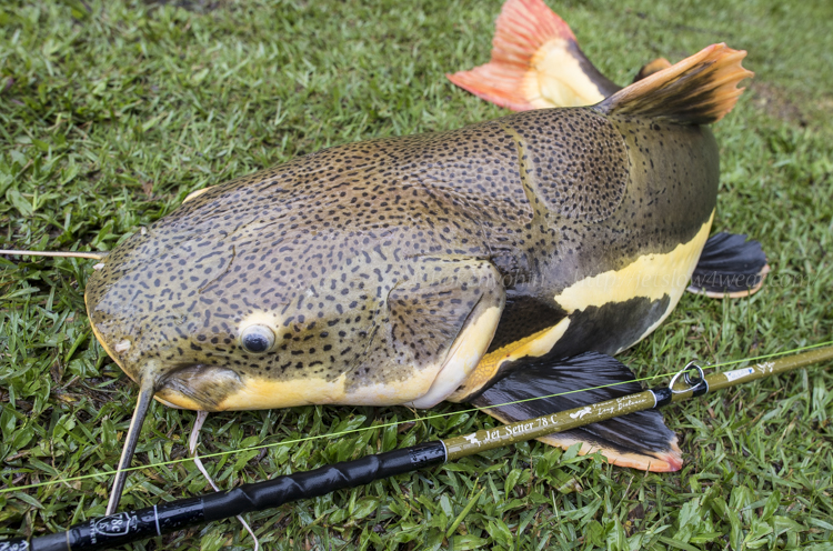 モンスターフック「冒険用品」