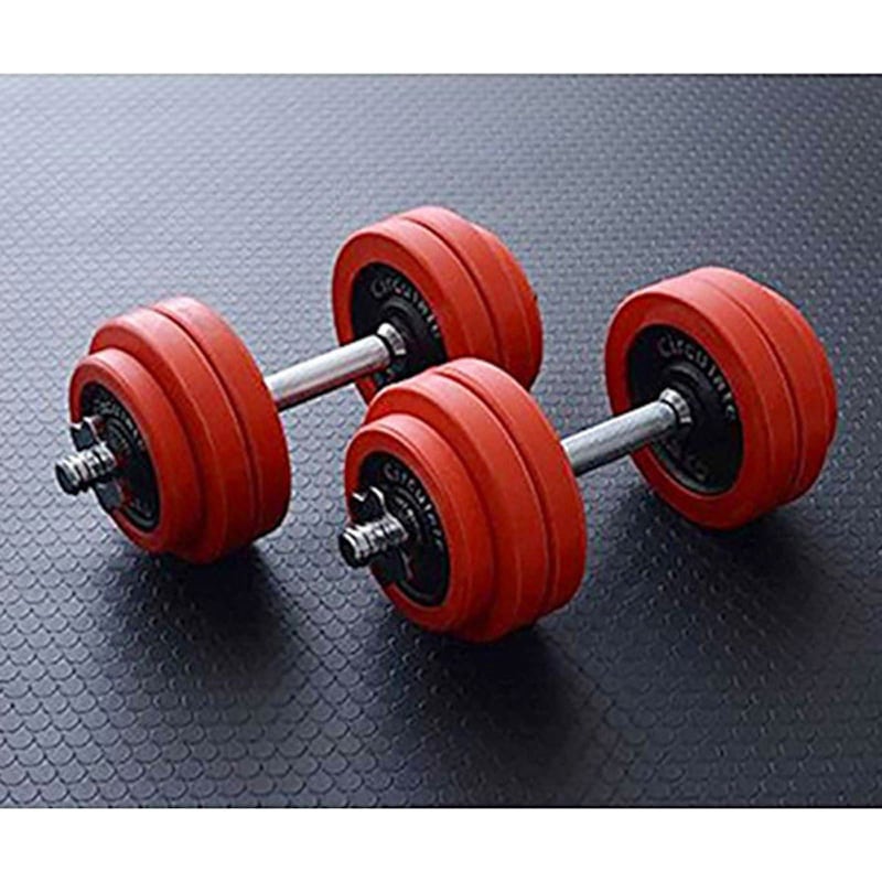 LSD-20 ラバーダンベルセット YAMAZEN(山善) 質量(シャフト・ノブ)2kg