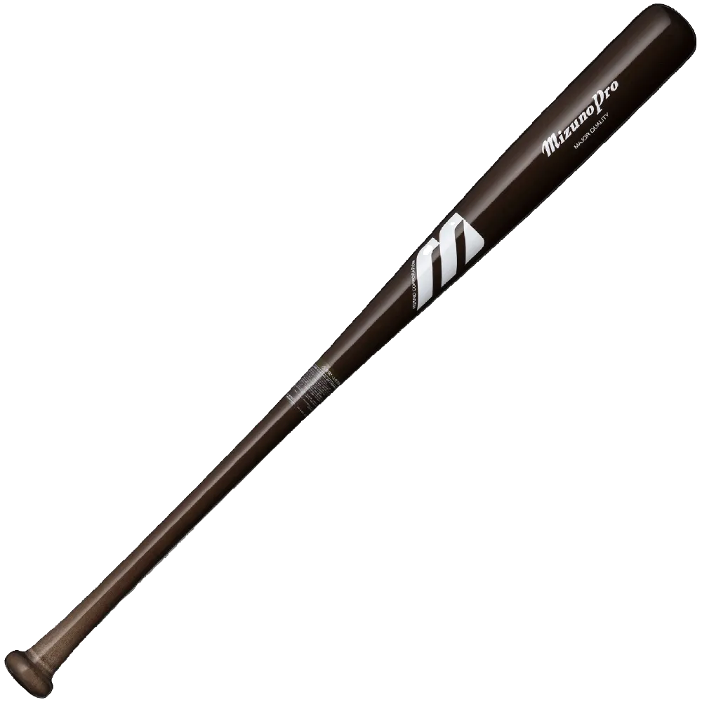 最高峰をその手に。ミズノプロビッグM｜野球｜ミズノ公式オンライン