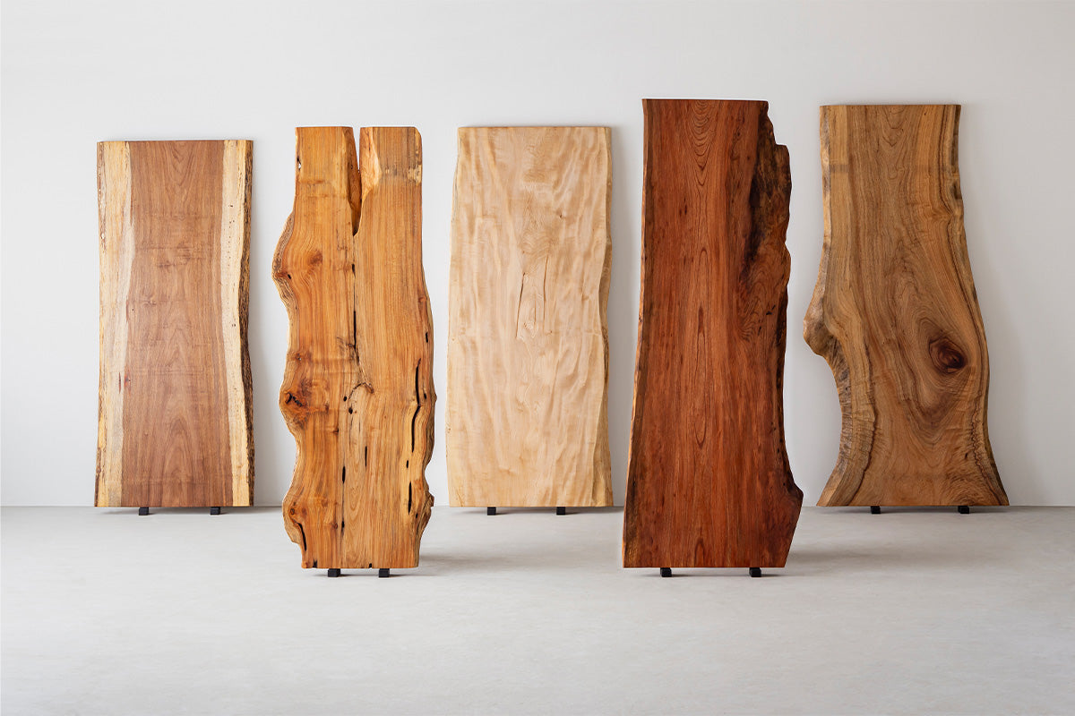 樟の木 天板 テーブル板 棚板 木材 DIY 天然木 一枚板