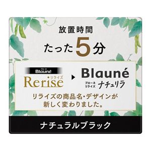 ブローネ ナチュリラ 色長持ちカラートリートメント ブラック 本体