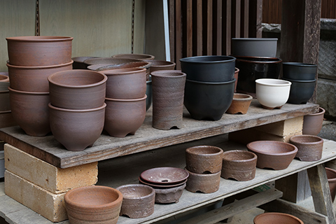 兵庫】「面白いです！」植物ファン注目の伝市鉢、三代目の挑戦 | 香り