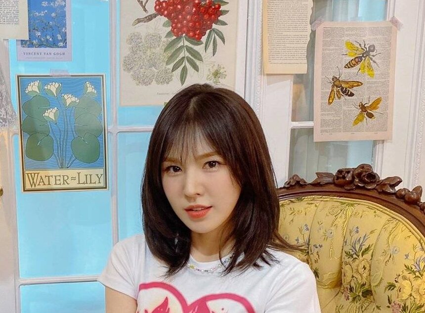 Red Velvet ウェンディ】Red Velvet の音色女神 Wendy(ウェンディ)の