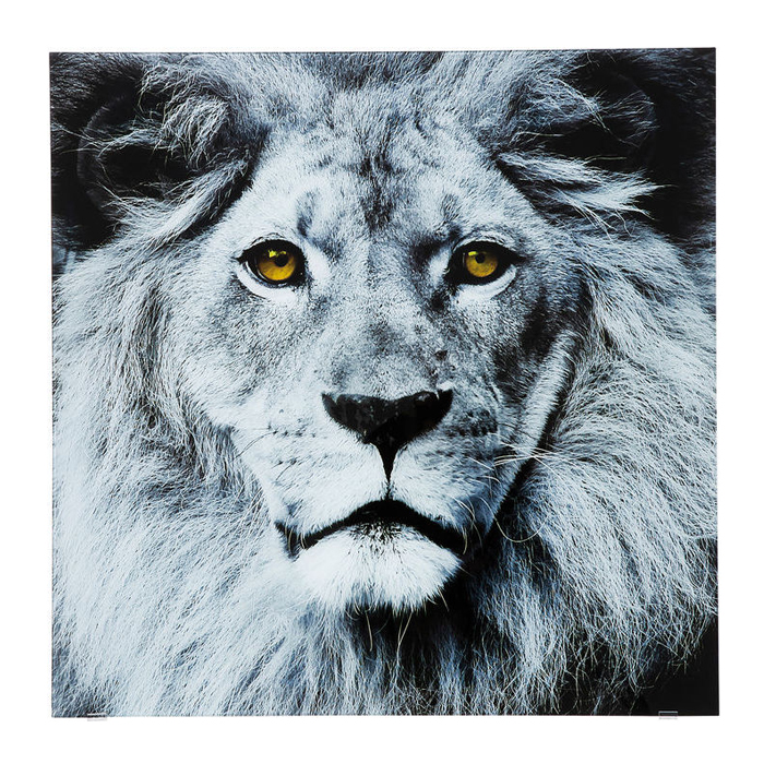廃番】Picture Glass Face Lion 80x80cm ｜【KARE】ドイツの家具