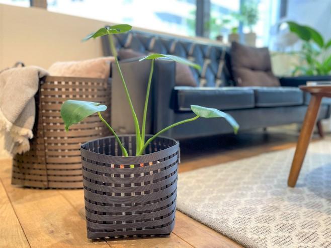 自然素材のシンプルな収納かご「Bandc Basket」 – カリモク60