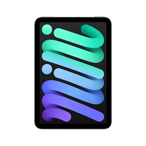 iPad mini（A17 Pro） | iPad | au