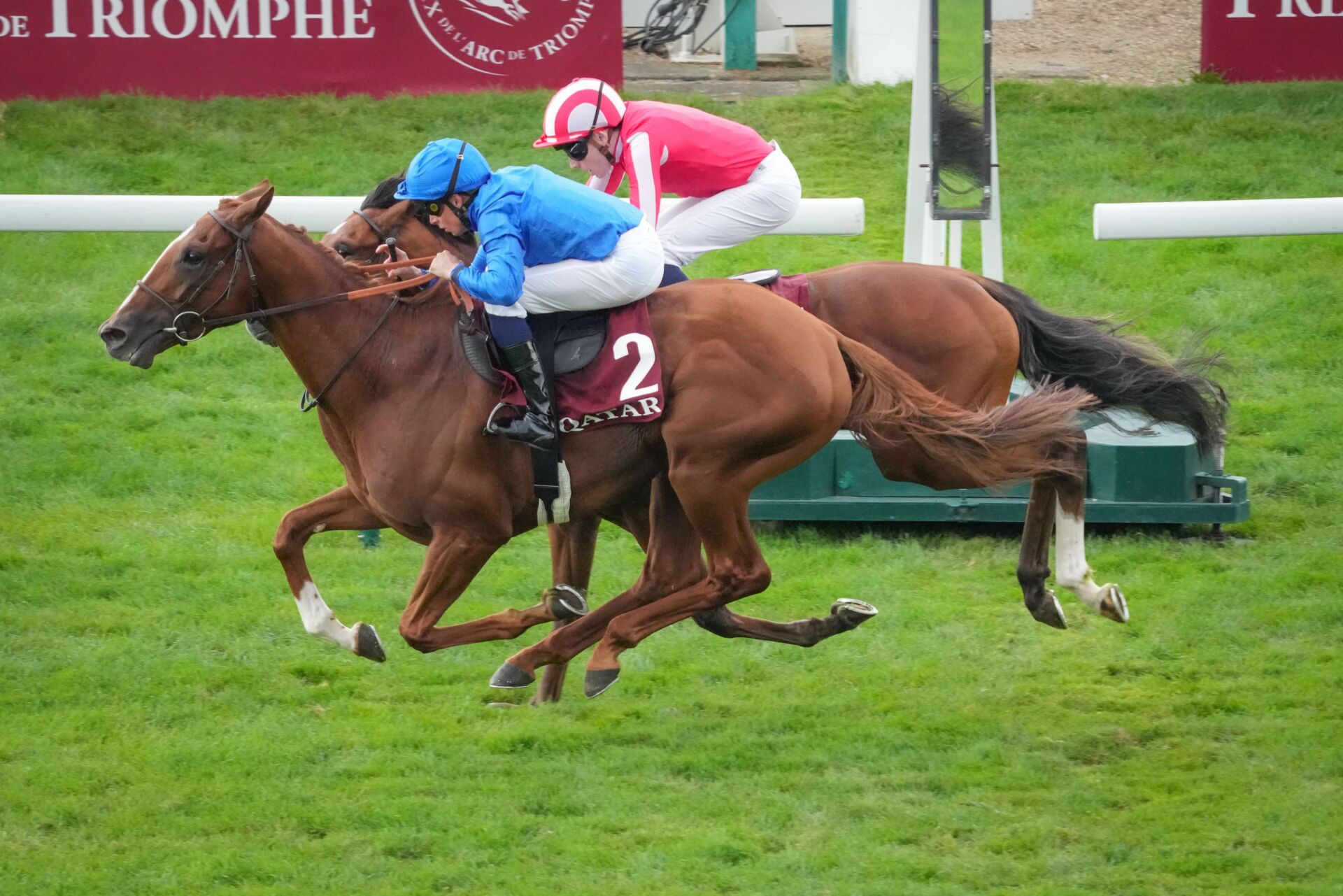 仏ニエル賞】ゴドルフィンのクアリフィカー、窮地から突き抜ける末脚