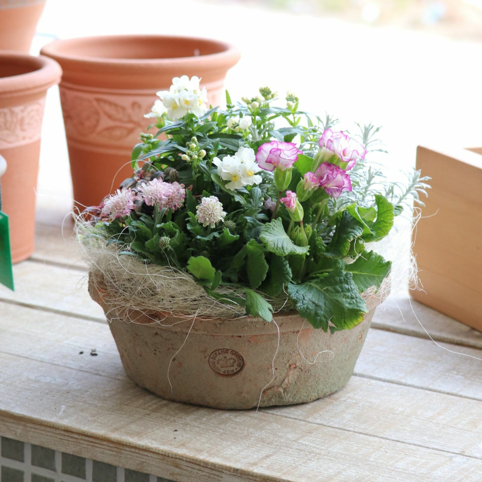 素焼き鉢・陶器鉢｜バラと庭あそび京阪園芸公式ショップ 通販